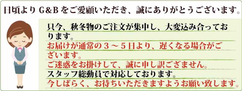 おしゃれなシニアのファッション通販G&B ジビエ 3着分で27着!?!未使用服をまとめて売りマす! Tシャツ/カットソー(半袖/袖なし)
