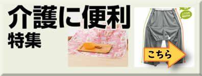 sonota_bn_kaigo.jpg